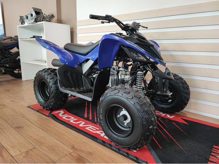 YAMAHA YFM110R