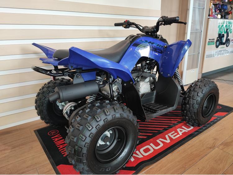 YAMAHA YFM110R